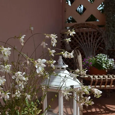 Bed & Breakfast Into The Wild Green Alghero